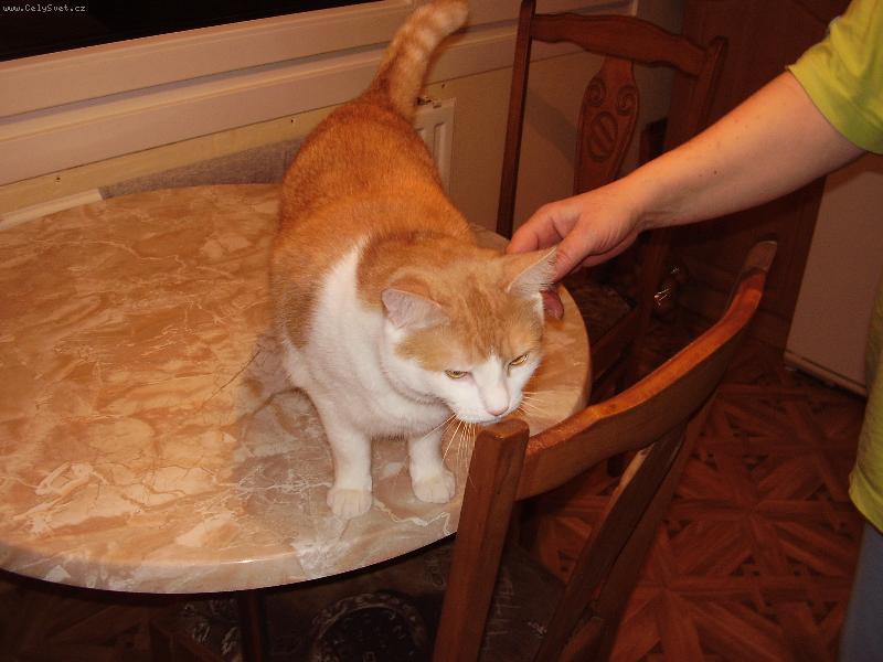 Foto: ..jetě za levým...-..to je nádhera!