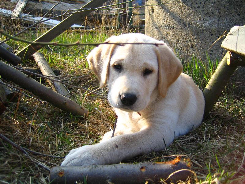 Foto: Geena-klacíky mám nejradši