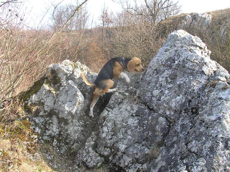 Foto: Trénink na M. Everest