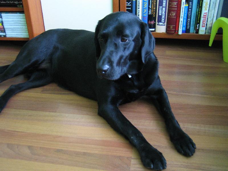 Foto: Tina-Póza dámy