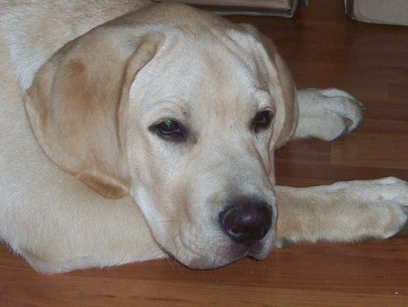 Foto: Max-chvíle odpočinku č.2