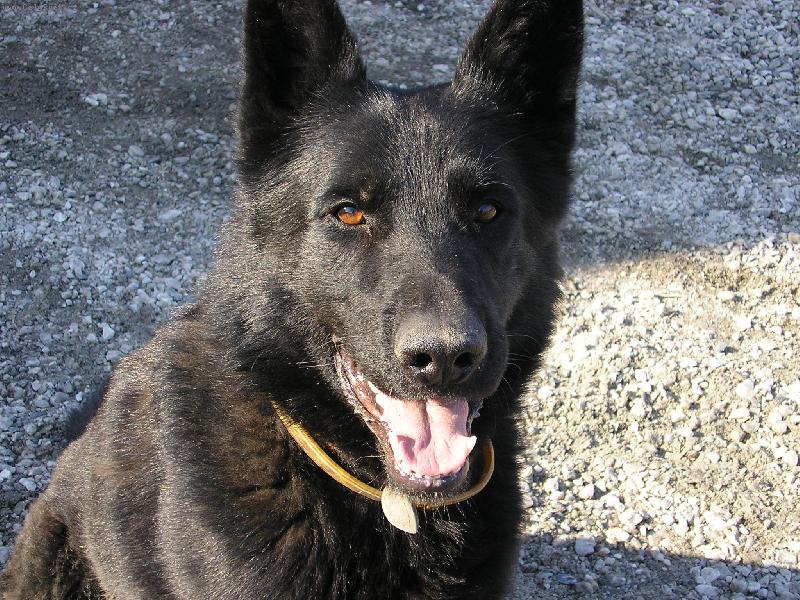 Foto: Beník-...to jsem ale feák, co?