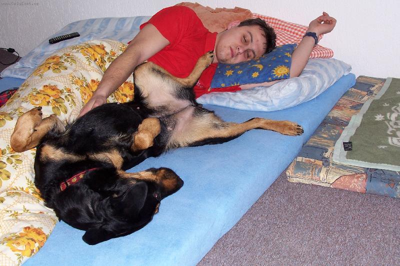 Foto: Mája-...a takhle po obědě odpočívám s páníčkem  !!!