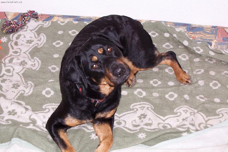 Foto: Mája-..ty jsi to nepochopil?