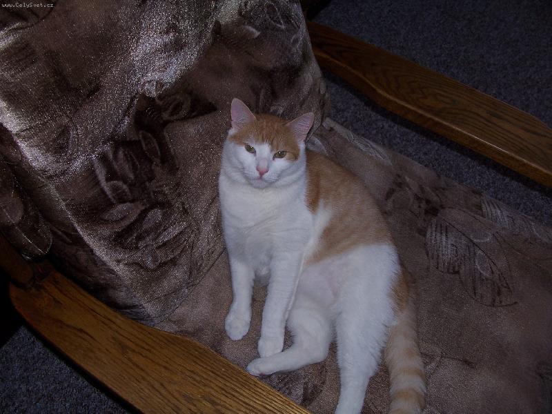 Foto: Mates-...zapni už tu bednu!!!