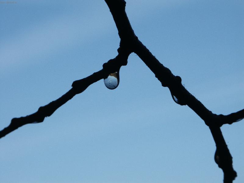 Foto: Kapka-Kapka u lužnice