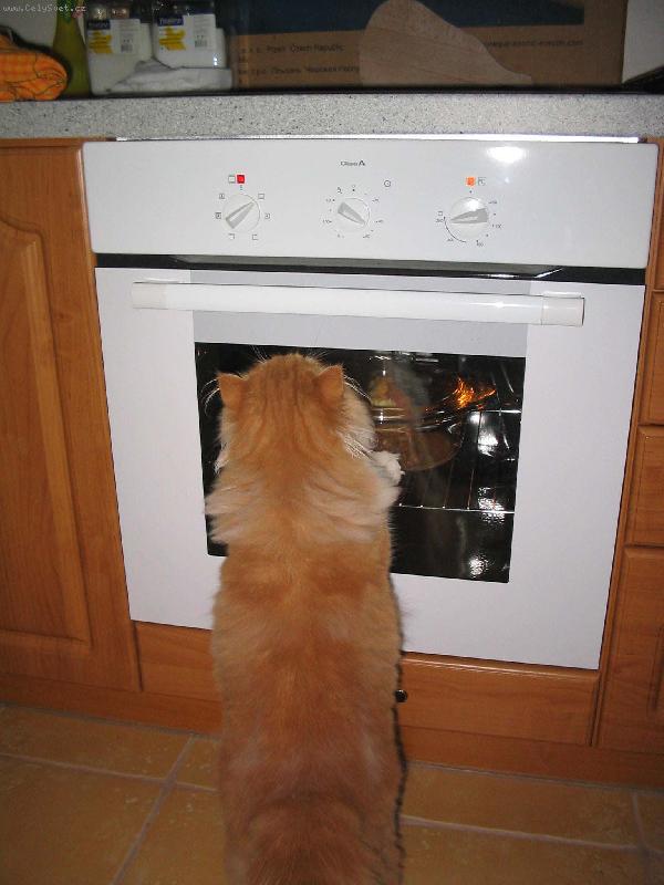 Foto: Pumík-mnam, mnam, masíko se už peče