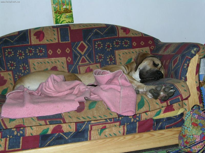 Foto: spící miminko-unavený maxik