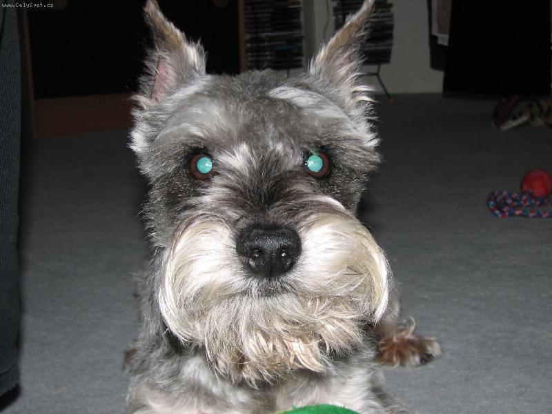 Foto: Koukám na Vás