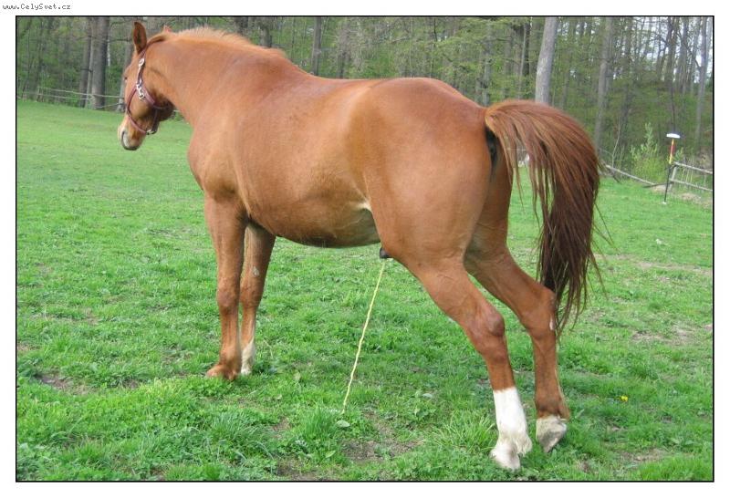 Foto: už jsem to nevydržel...