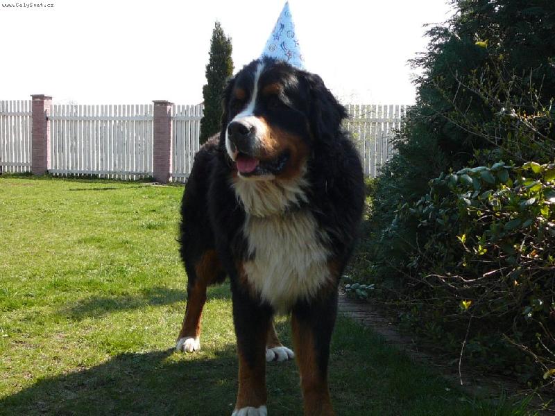 Foto: roční Edy-Edy solavenec:-))