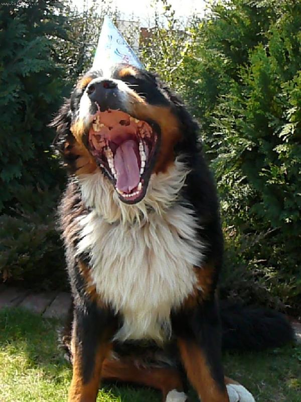 Foto: Edy rok-únava po oslavování :-))