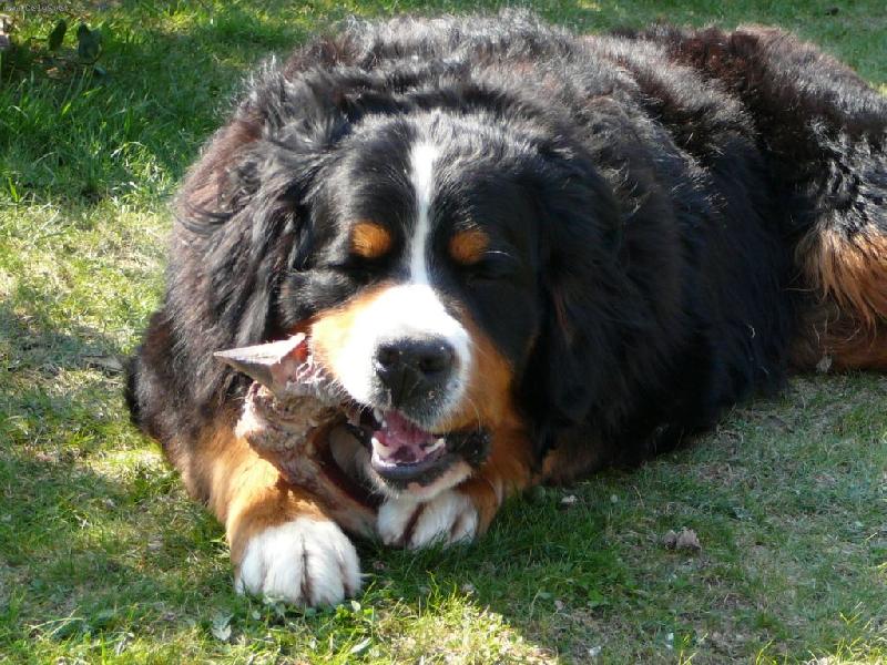 Foto: Edgar-pohodička