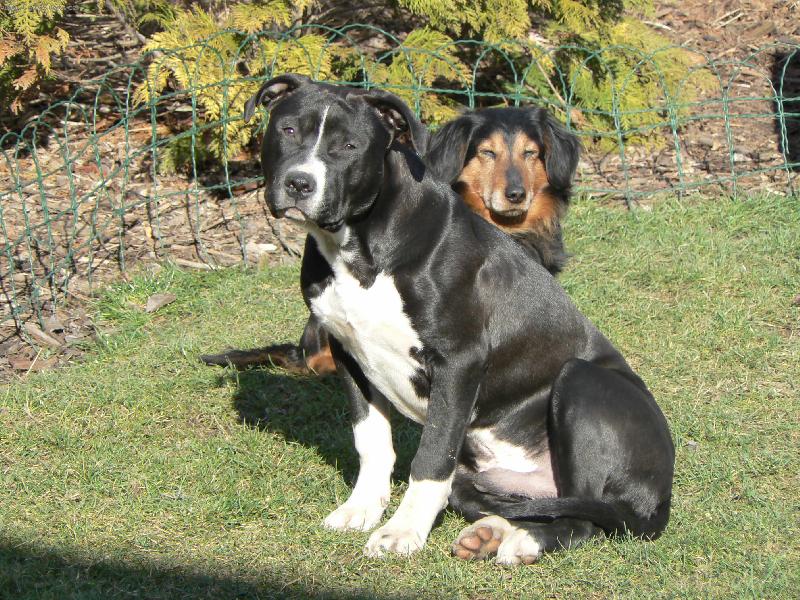 Foto: ARNOUŠEK-7 MĚSÍČNÍ ŠTĚŇÁTKO