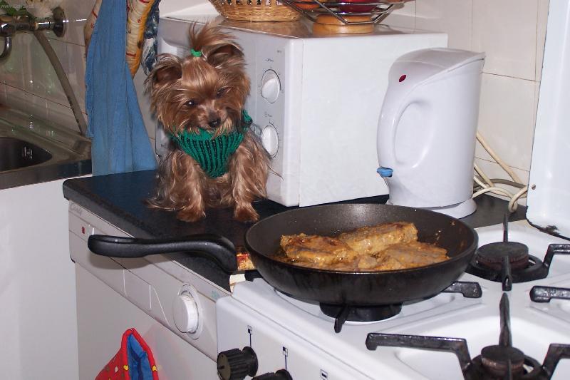 Foto: přírodní řízek-pěkna vůně