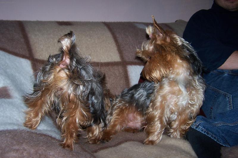 Foto: seznámení-kluk nebo holka