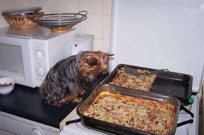 Foto: pizza-to teda voní!