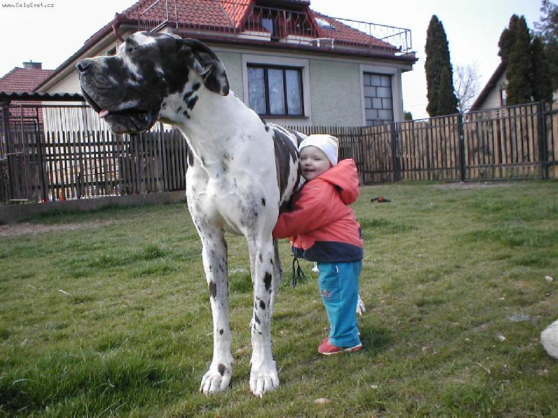 Foto: Můj velký kamarád-Mazlení