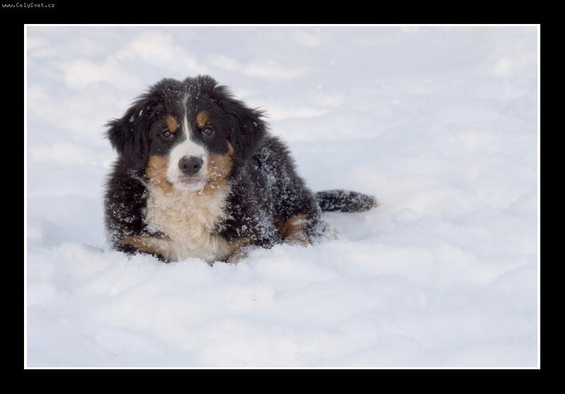 Foto: To je zima co??