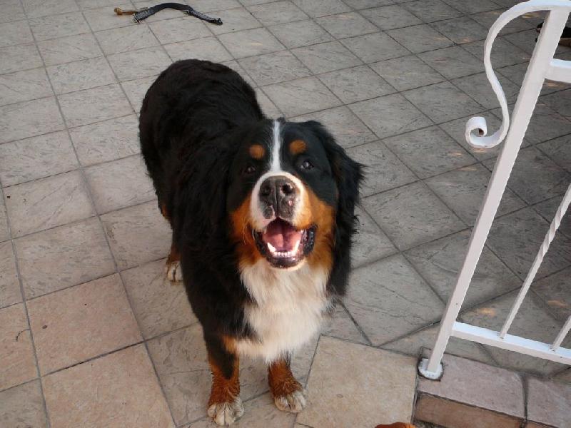 Foto: Kuk-koukám :-)