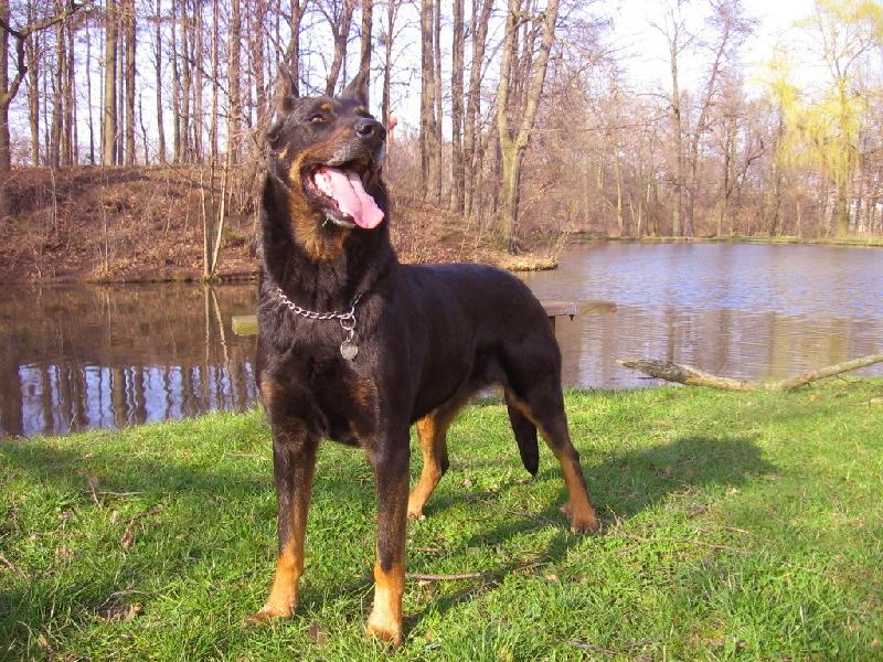 Foto: jsem fakt velká drsňačka!