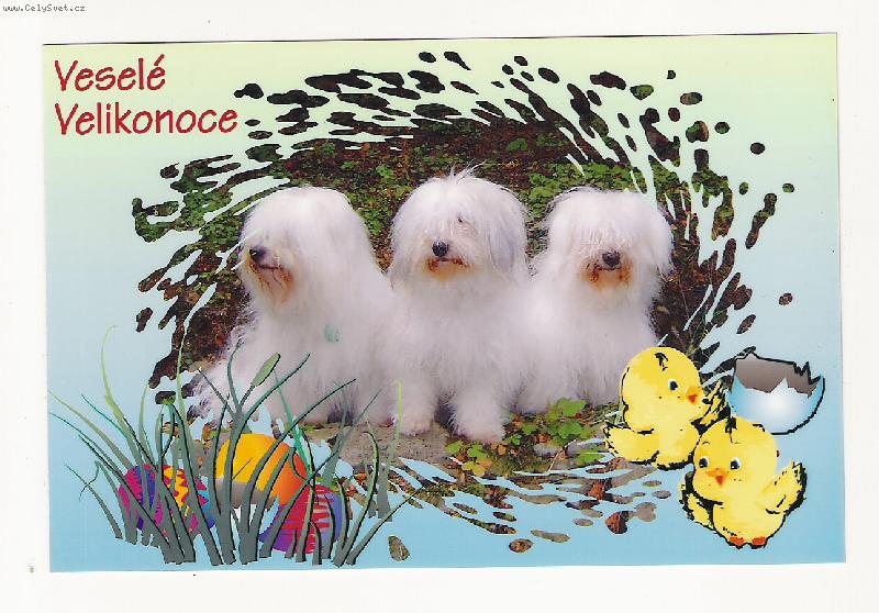 Foto: Příjemné prožití velikonočních svátků-přeje chovatelská stanice Král Beskyd