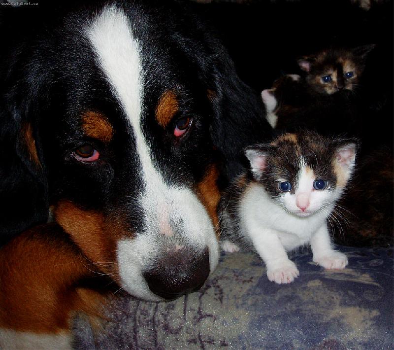 Foto: V bezpečí...