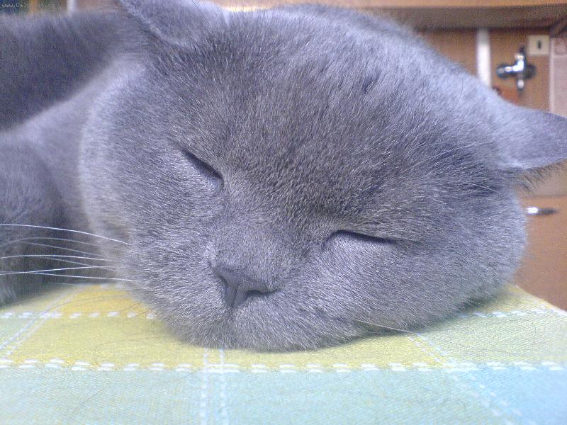 Foto: Tlamička-Oskárek