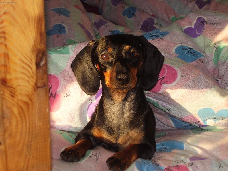 Foto: Co to máš???