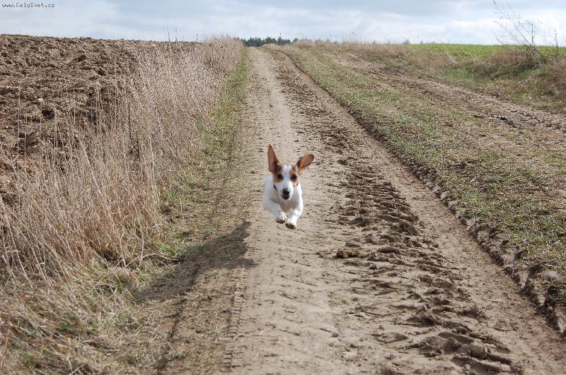 Foto: Bucefalos už k vám letí :)