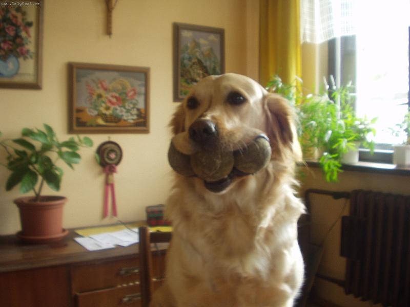 Foto: Kam já si je jen schovám ???