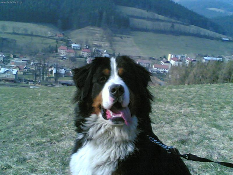 Foto: Beneček-Jak jsme byli na túře :)))