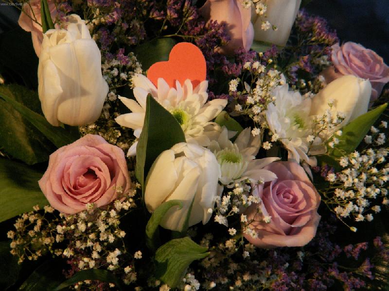 Foto: něžná květinka-udělám radost?