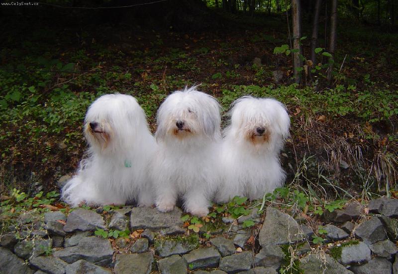 Foto: Matka s dcerou a synem-Po speciální výstavě
