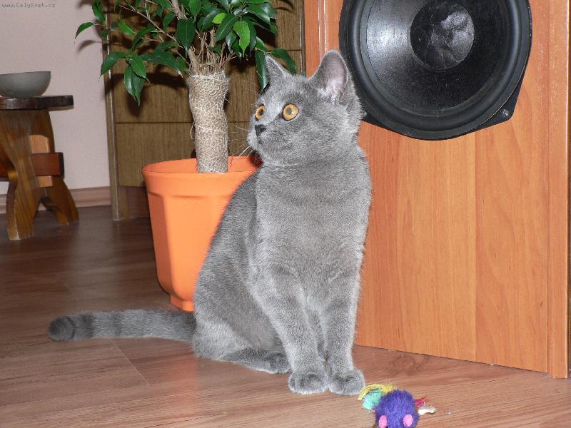 Foto: Kam že se to mám usmát?