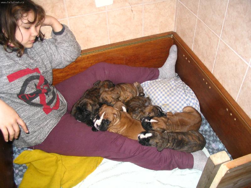 Foto: Kája a 8 boxeříků-Tady je nám dobře