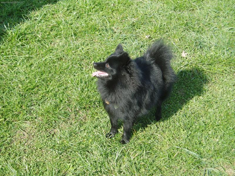 Foto: Fanny zkoumá co se děje