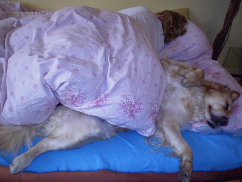 Foto: Bára-Tak tomu říkám pelíšek