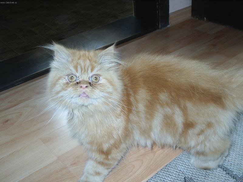 Foto: Viki-Vááááuuuu!!!!!!!