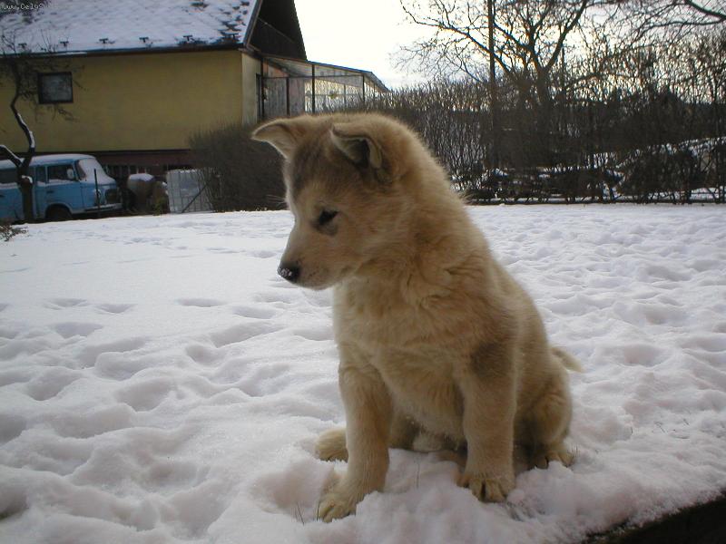 Foto: Akkinka-tak co bude zase dál