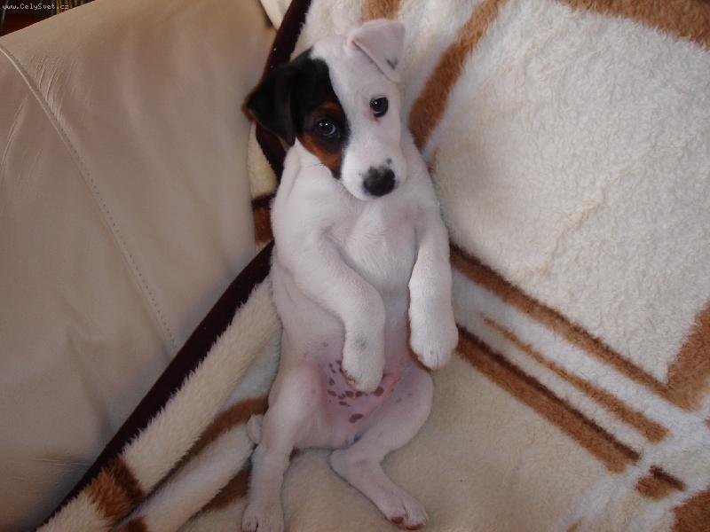 Foto: tak už zapněte tu televizi