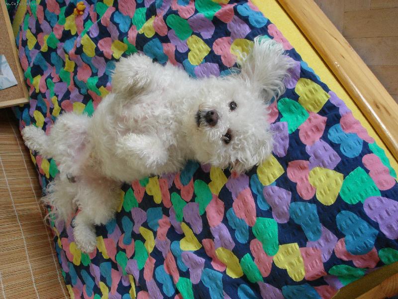 Foto: Indy-To je pohodička :o)