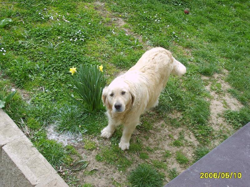 Foto: kuk kam asi koukám