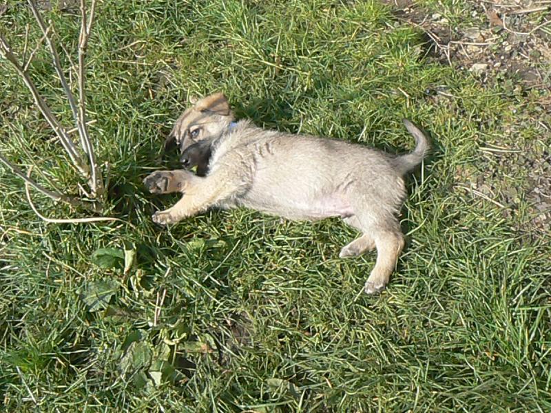 Foto: no co ukousl jsem si lístek od kytičky