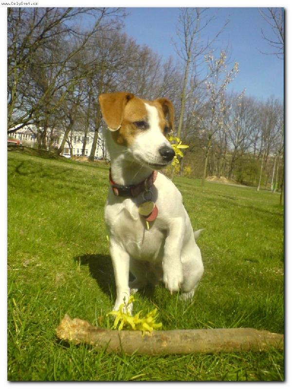 Foto: Jaro už je tady =)-Jessynka vítá jaro