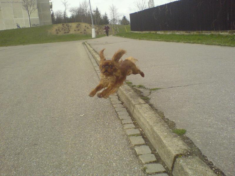 Foto: Jimmy-Strýček Fido