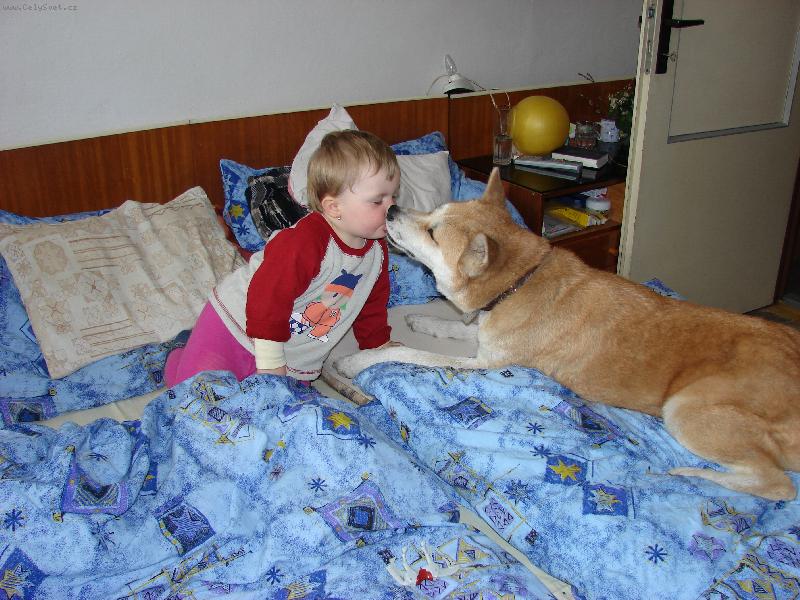 Foto: Jedna pusa je málo