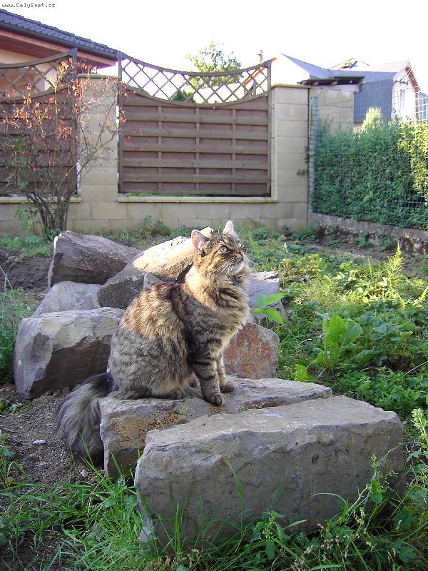 Foto: Minuška-koukám