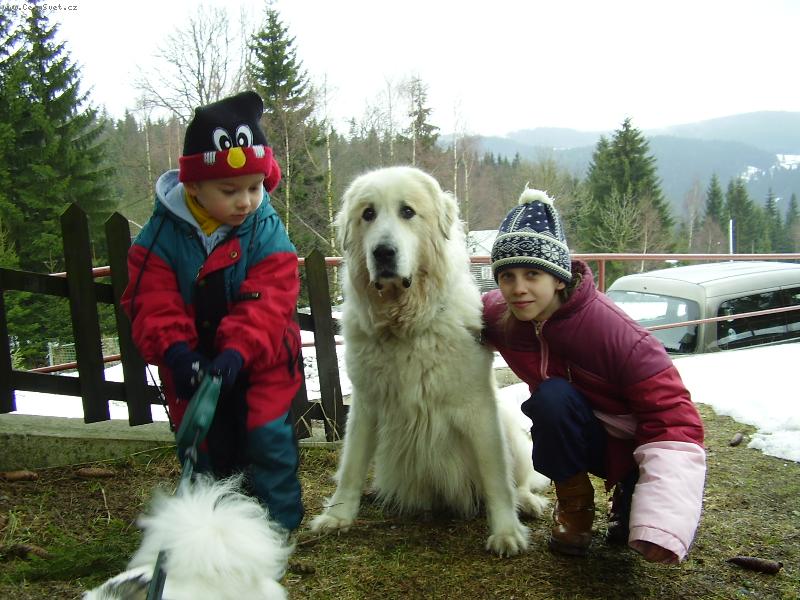 Foto: Airen v Kocábech-Ája hlídá horskou boudu se svými malými kamarády