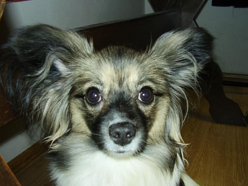 Foto: Holčička Maruška-Div mi oči nevypadnou,co se to na mě dívá?